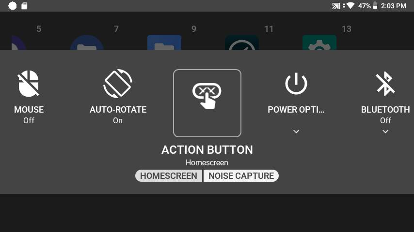 Screenshot of Action Button in My Controls